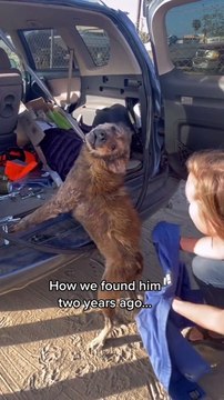 Muhteşem bir öncesi, sonrası