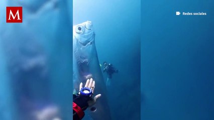 El pez remo fue visto en Taiwán por un grupo de buzos y es relacionado con desastres naturales