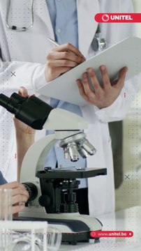 Alerta en Japón por el nuevo 'virus Oz' de las garrapatas ¿cómo se transmite y cuáles son los síntomas?