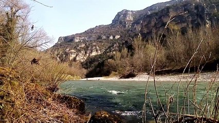 De Lascaux au Causse Mejean les chevaux de Przewalski
