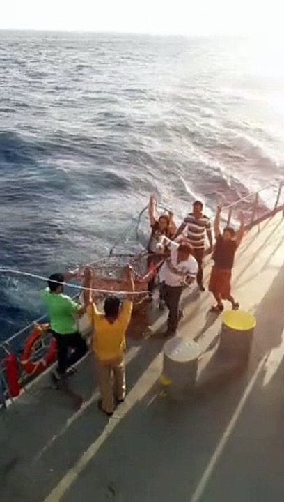 Catching Fish on a Full Speed Cargo Ship