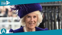 Camilla Parker Bowles a 76 ans : quelles sont ses relations avec son ex-mari Andrew Parker Bowles ?