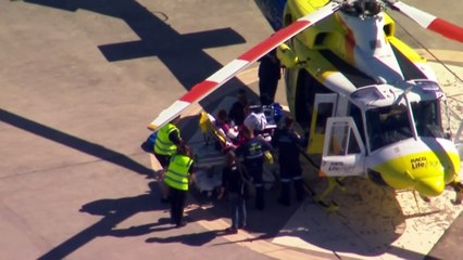 Authorities to investigate dingo attack as incidents rise