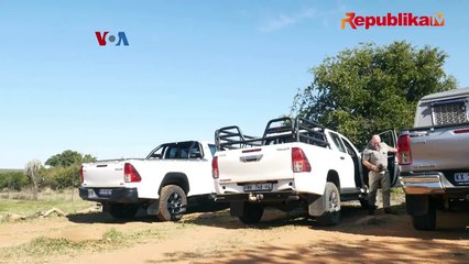 Teknologi AI Bantu Jagawana Lindungi Satwa Langka di Afrika Selatan