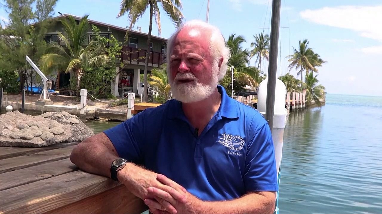 Florida's coral reefs suffer as temperatures rise