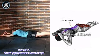 best 5 lower Back exercise at home