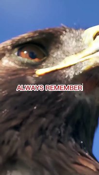 Sigma Rules Motivational quotes #shorts #sigmarule