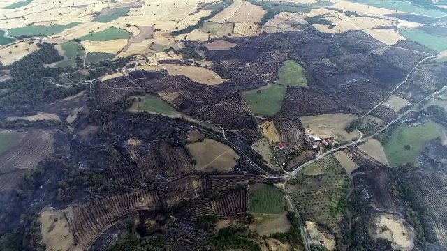 Çanakkale'de orman yangınında 38 saat geride kaldı! Alevler her yeri kül etti, bölgenin son hali içler acısı