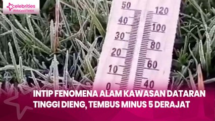 Intip Fenomena Alam Kawasan Dataran Tinggi Dieng, Tembus Minus 5 Derajat