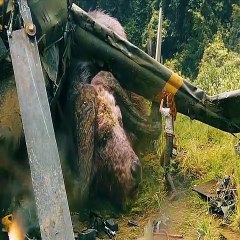 One of my favorite movies