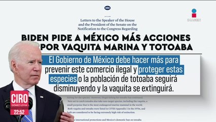 Biden lanza advertencia a México por no proteger Vaquita Marina