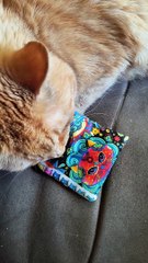 17 July 2023 - Dubby Got A New Catnip Pillow