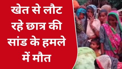 अमरोहा: सांड़ के हमले में कक्षा 6 के छात्र की दर्दनाक मौत, परिजनों में मचा कोहराम