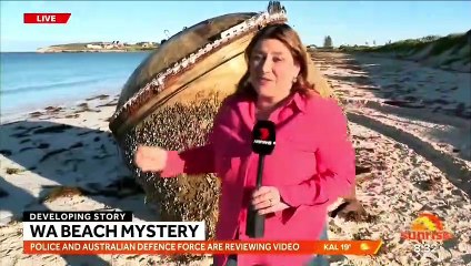 Sahilde ortaya çıkan gizemli cisim için alarm verildi