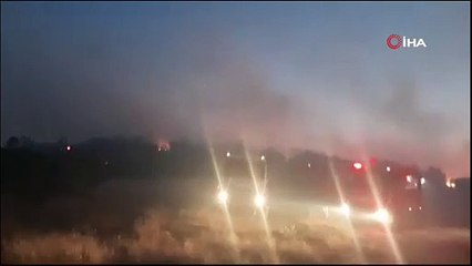 Lice’de orman yangını, 6 hane tahliye edildi