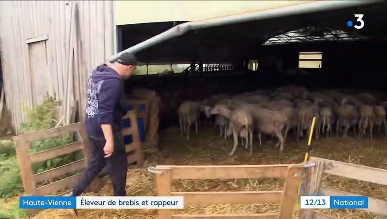 Insolite - Découvrez MaNTiS, un rappeur à succès qui est aussi ... éleveur de brebis! : "C'était une manière de retourner les choses et les préjugés"