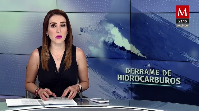 Derrame de hidrocarburos en el Golfo de México: La sociedad civil exige respuestas