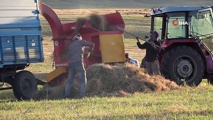 Muş Ovası'nda çiftçilerin kış mesaisi başladı