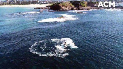 Whale carcass retrieved | July 17, 2023 | Illawarra Mercury