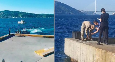 Boğaz’da bulunan mayın dalgıçlar tarafından çıkarıldı