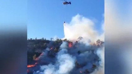 Wildfires grip Turkey as extreme heat sweeps across Europe