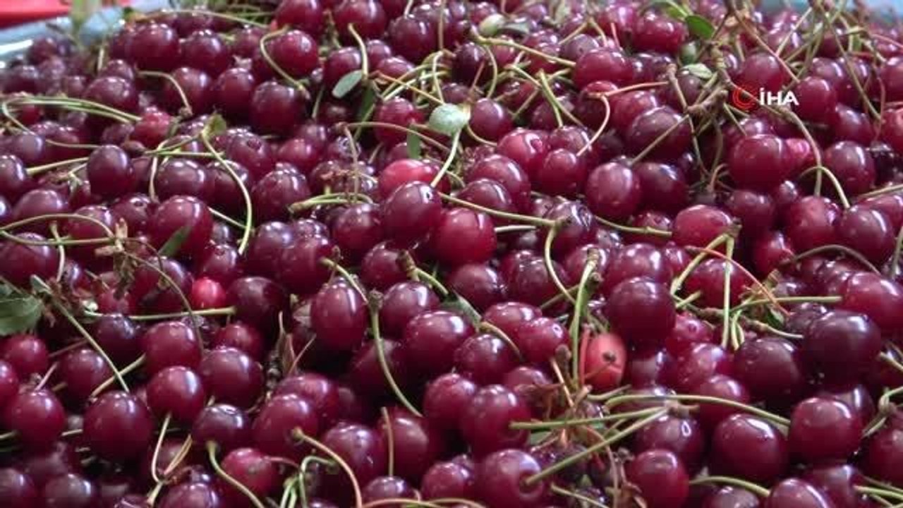 Yaz Aylarının Vazgeçilmezi 'Vişneli Dondurmaya' Yoğun Talep