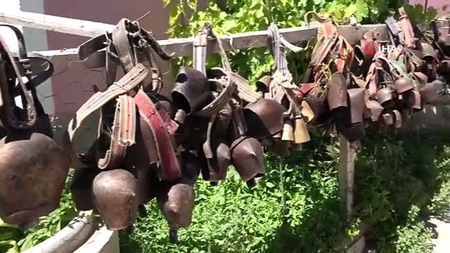 Hobi Amaçlı Tongurdak Koleksiyonu Yapan Besici