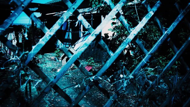 Los días - Tráiler VOSE