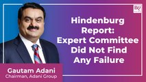 Hindenburg Report- Expert Committee Did Not Find Any Regulatory Failure : Gautam Adani