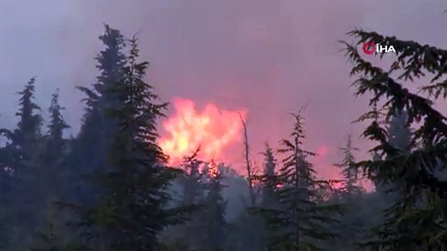 Tekirdağ'daki orman yangınının balya makinesinden çıktığı belirlendi