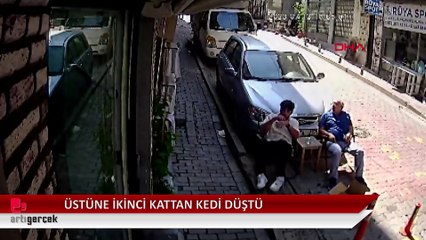 Kağıthane'de ikinci kattan üzerine kedi düştü