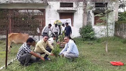 छायादार एवं औषधीय गुण वाले पौधे लगाए, देखभाल का संकल्प लिया