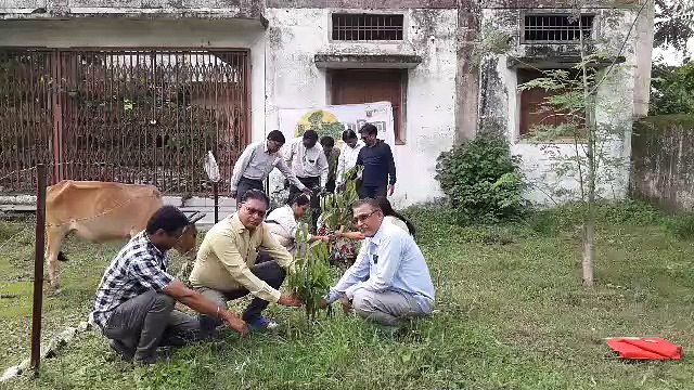 छायादार एवं औषधीय गुण वाले पौधे लगाए, देखभाल का संकल्प लिया