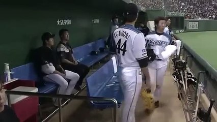 정글주소.net [가입코드kps74] 안전한주소 선택을 위한 먹튀검증사이트 정글 먹튀 예방을 위한 신속하고 정확한 검증 서비스 제공과 안내