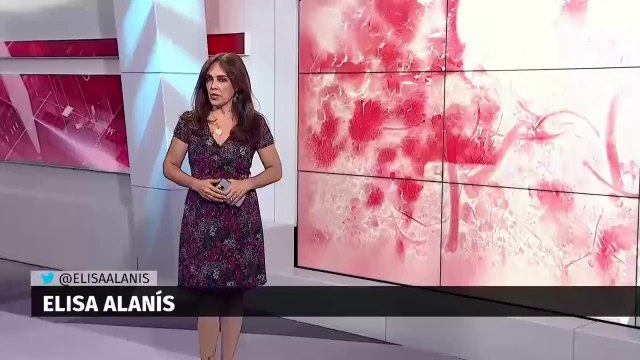 En Veracruz rescatan a migrantes hondureños y guatemaltecos. Elisa Alanís, 17 de julio de 2023