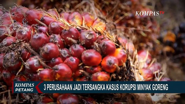 Kejagung Panggil Menko Airlangga Hartarto Sore Ini Terkait Kasus Mafia Minyak Goreng