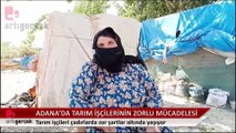 Adana'da 50 dereceyi bulan sıcakta tarım işçilerinin zorlu mücadelesi