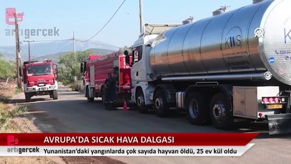 Avrupa yanıyor: Yunanistan'daki yangınlarda çok sayıda hayvan öldü, 25 ev kül oldu
