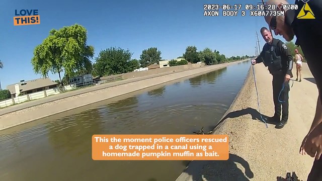 THE MUFFIN MAN: Hero COP Rescues Stuck Dog USING Muffins!