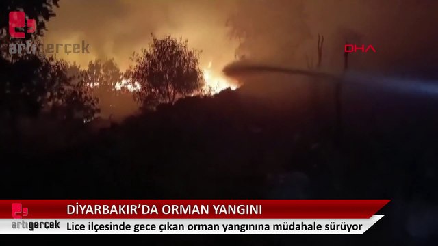 Diyarbakır Lice'de çıkan orman yangını devam ediyor