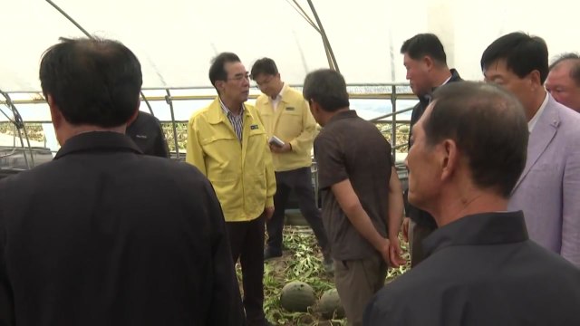 [기업] 농협, 집중호우 피해농가에 임직원 성금 30억 원 지원 / YTN