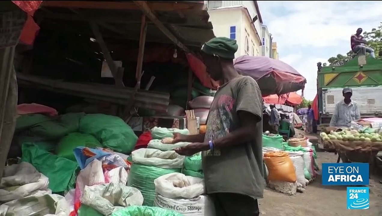 Black sea grain deal expires: What is the impact on Africa?