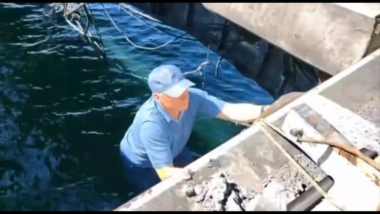 Il vice premier russo ispeziona i danni al ponte di Kerch