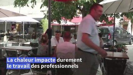 Canicule: dans l'arrière-pays grassois, les professionnels subissent la canicule