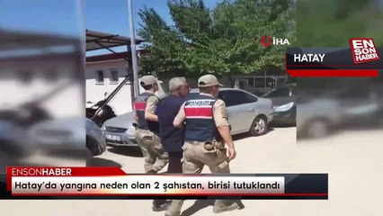 Hatay'da yangına neden olan 2 şahıstan, birisi tutuklandı