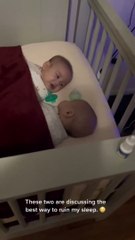 it-s-very-serious-discussing--cuteb