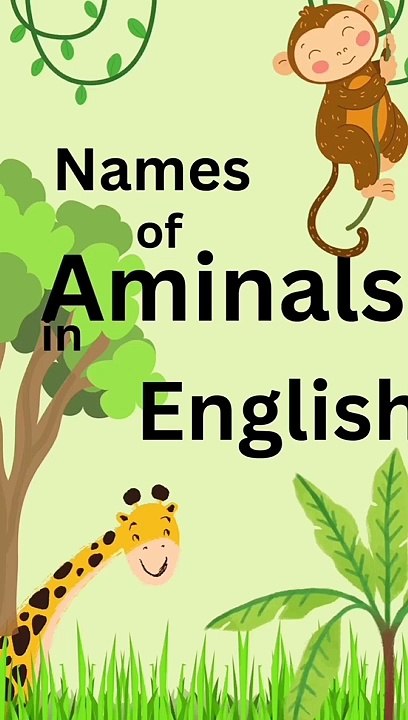Animals Name in English || #kidnetwork