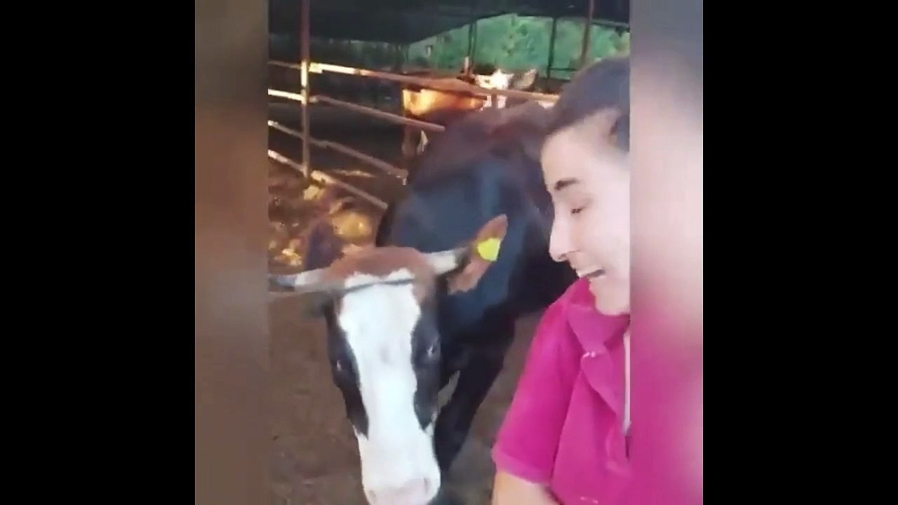 "Meltem gel selfie çekelim" dedi, Meltem koşa koşa geldi