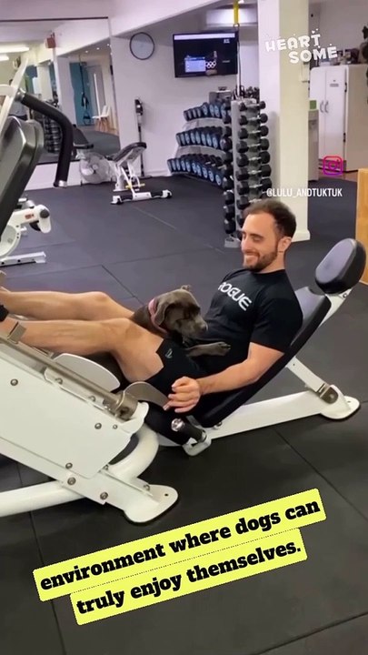 Unleashed Fun: Dogs Thrive at the Ultimate Dog-Friendly Gym | Contract Cancelled