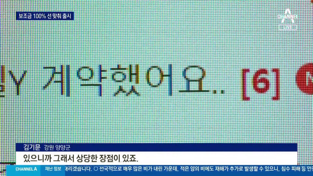 ‘딱 1만 원’ 차이로 100% 보조금…틈새 파고든 중국산 테슬라